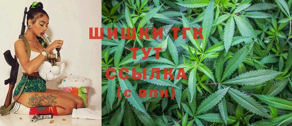 прущие грибы Пестово