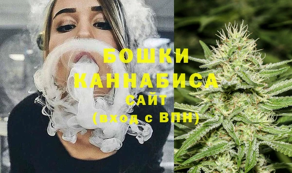 прущие грибы Пестово