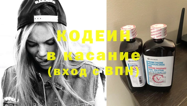 прущие грибы Пестово