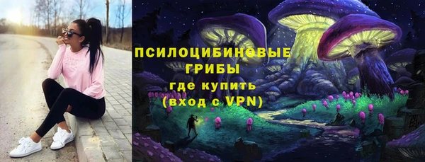 бутират Переславль-Залесский