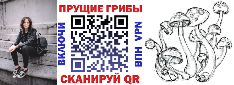 hydra ссылки Рассказово Галлюциногенные грибы мухоморы