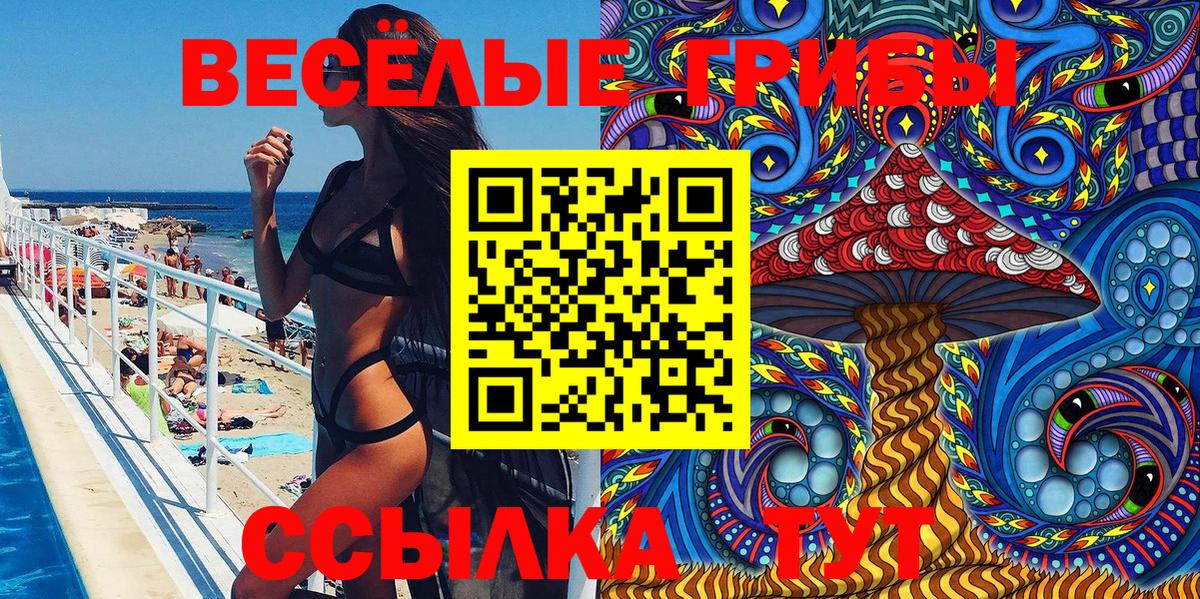 Рассказово  Галлюциногенные грибы Psilocybe  Вход с VPN 