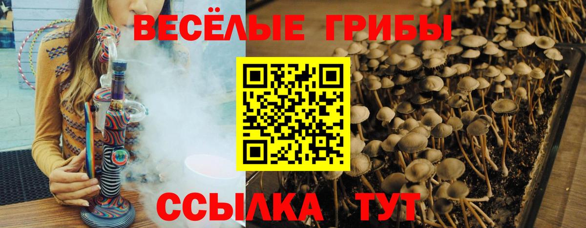 Галлюциногенные грибы прущие грибы Рассказово