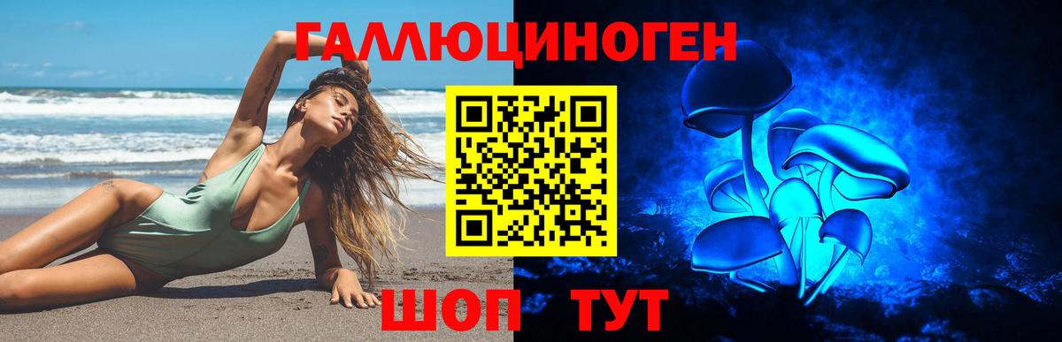 Псилоцибиновые грибы Psilocybe  дарнет шоп  Псилоцибиновые грибы Psilocybe  Рассказово 